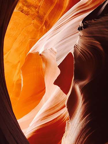 iphone backgrounds low angle view of antelope orange